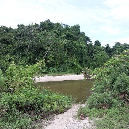 Cabana Wiwa Tayrona Лос Наранхос Екстериор снимка