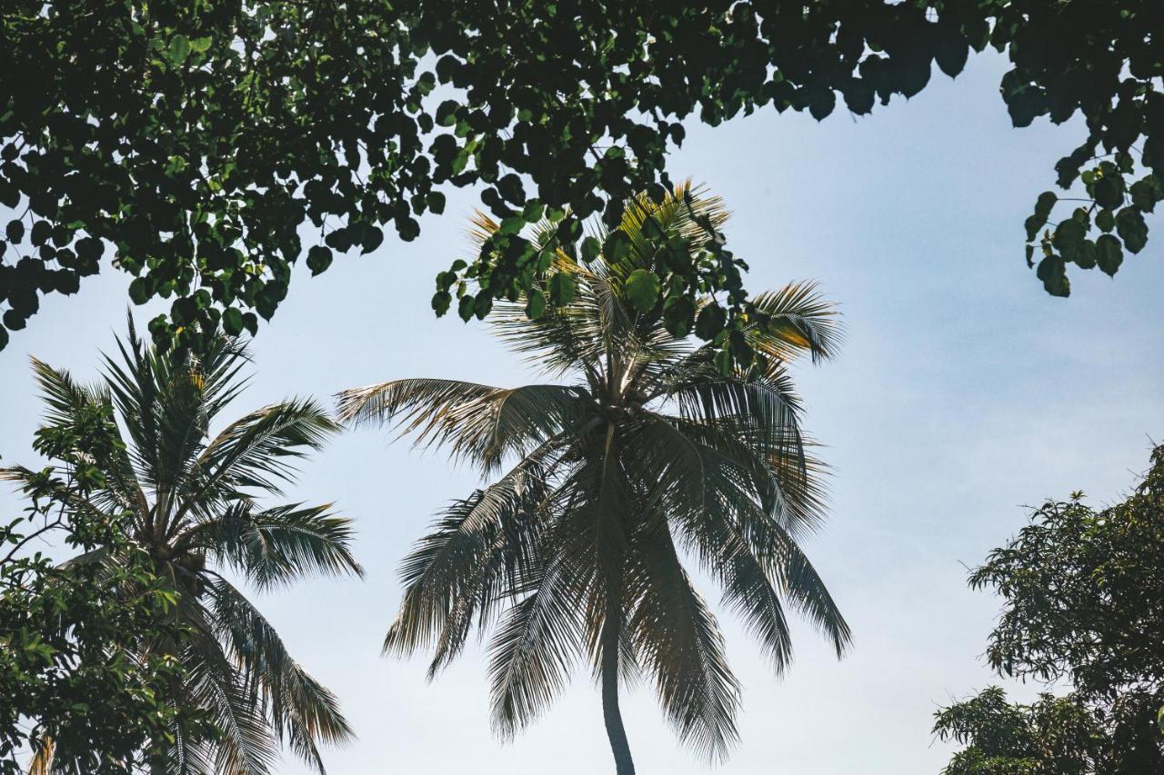 Cabana Wiwa Tayrona Лос Наранхос Екстериор снимка