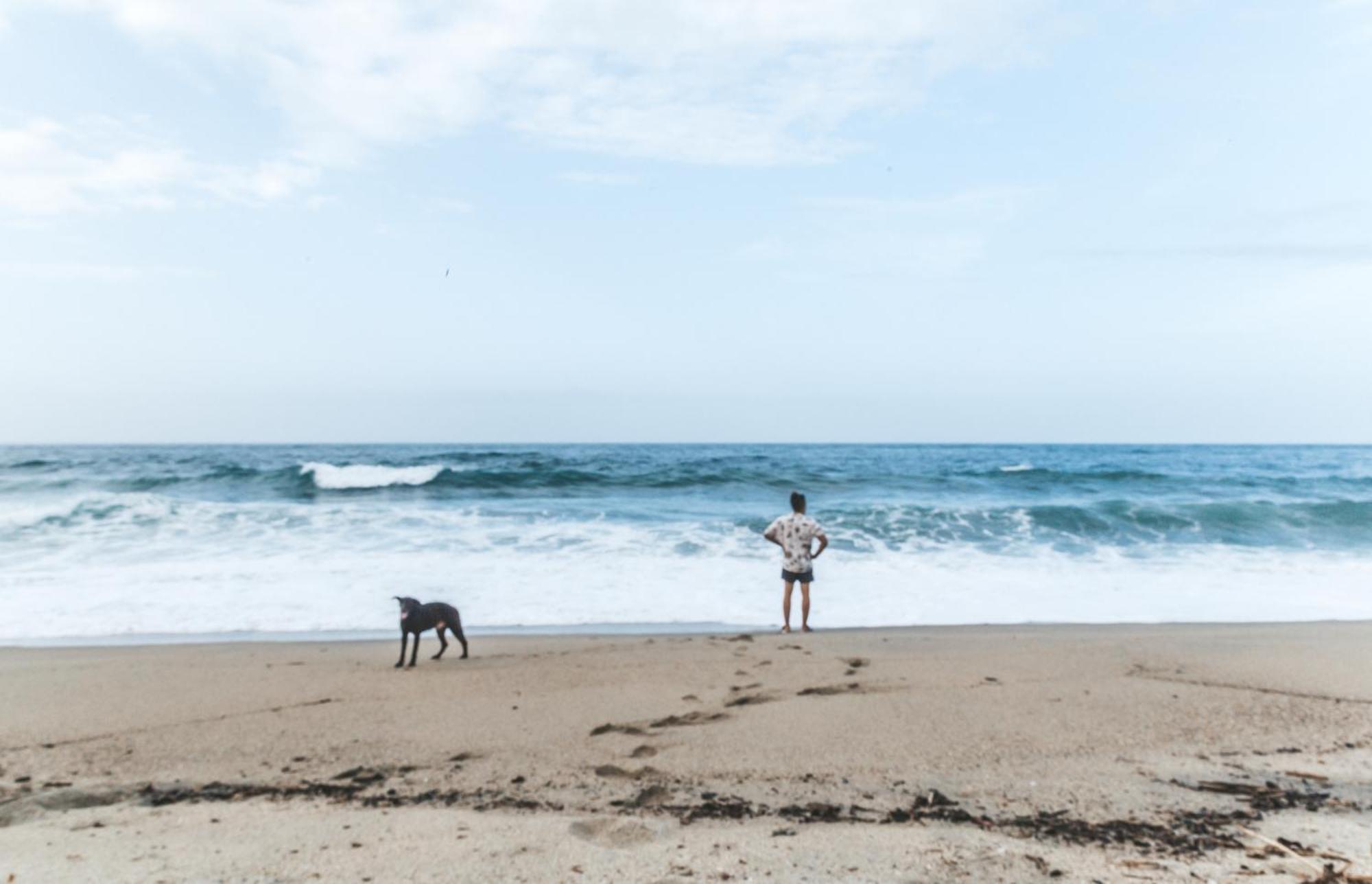 Cabana Wiwa Tayrona Лос Наранхос Екстериор снимка