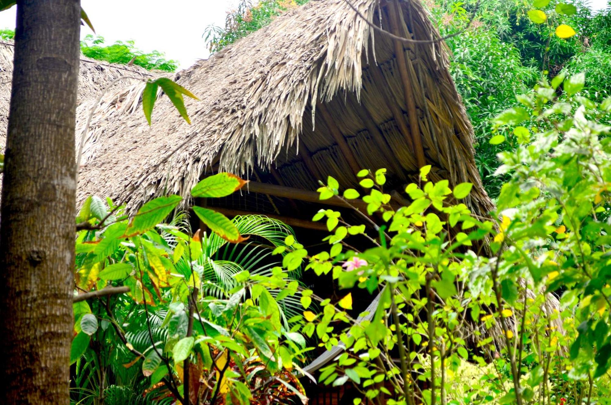 Cabana Wiwa Tayrona Лос Наранхос Екстериор снимка