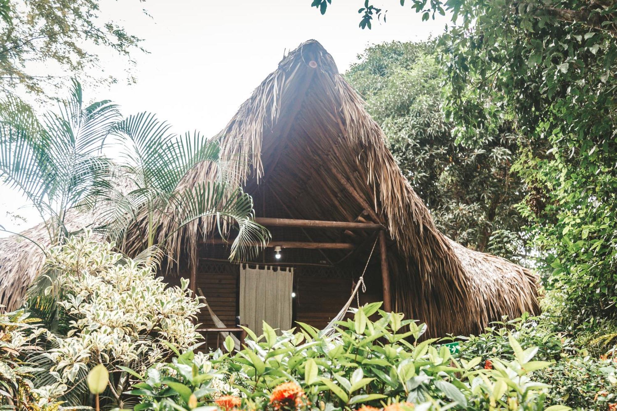 Cabana Wiwa Tayrona Лос Наранхос Екстериор снимка