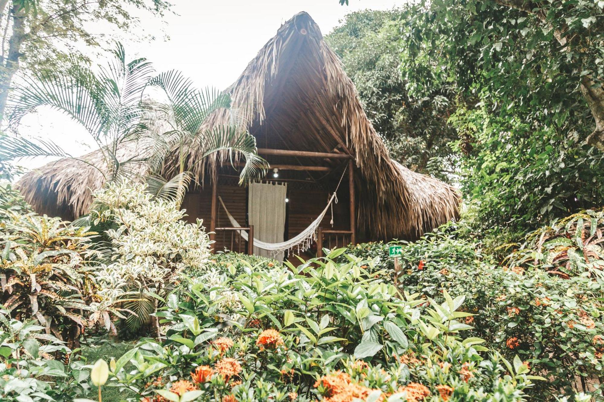 Cabana Wiwa Tayrona Лос Наранхос Екстериор снимка
